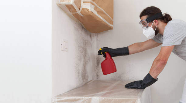 Professional Crawl Space Mold Removal technician working in Sharon, PA